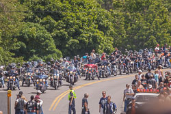 FRIDAY 13TH MOTORCYCLE RALLY JULY 2007 FRIDAY_13TH_MOTORCYCLE_RALLY_PORT_DOVER_JULY_2007-1.jpg