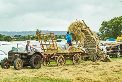 YESTERDAYS_FARMING_AT_PUCKINGTON-11.jpg